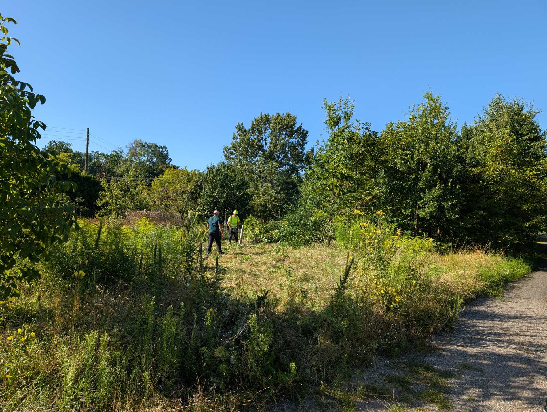 Przygotowanie terenu